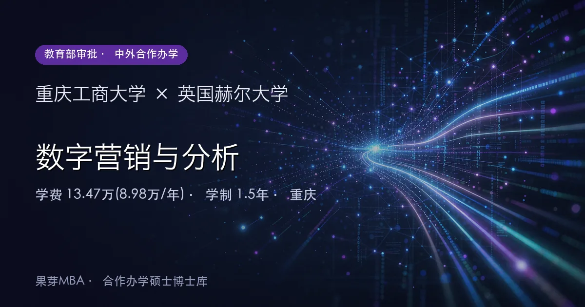 重庆工商大学×英国赫尔大学 数字营销与分析项目头图