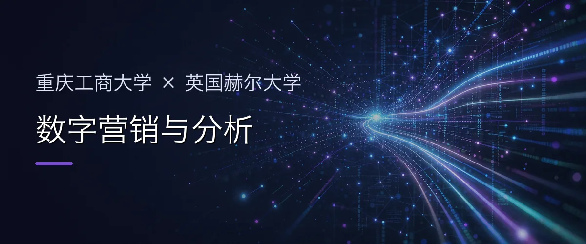 重庆工商大学×英国赫尔大学 数字营销与分析项目头图