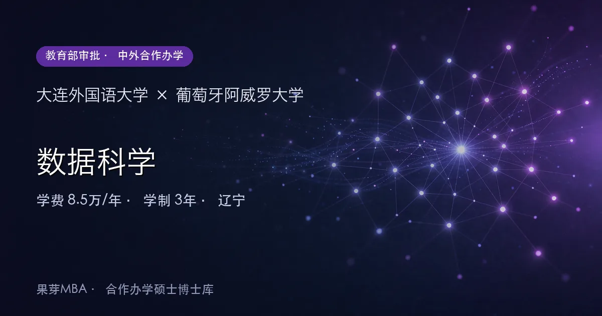大连外国语大学×葡萄牙阿威罗大学 数据科学项目头图
