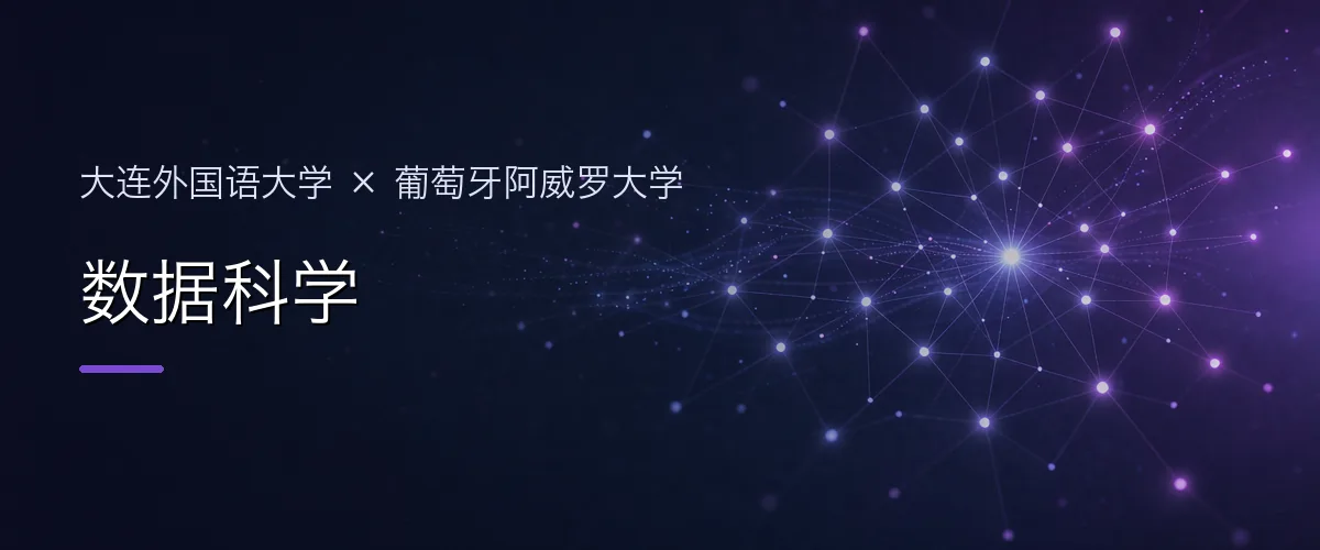 大连外国语大学×葡萄牙阿威罗大学 数据科学项目头图