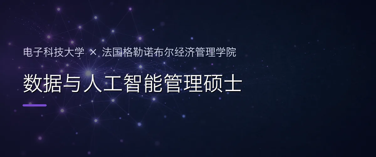 电子科技大学×法国格勒诺布尔经济管理学院 数据与人工智能管理硕士项目头图