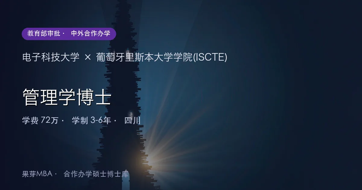 电子科技大学×葡萄牙里斯本大学学院(ISCTE) 管理学博士项目头图