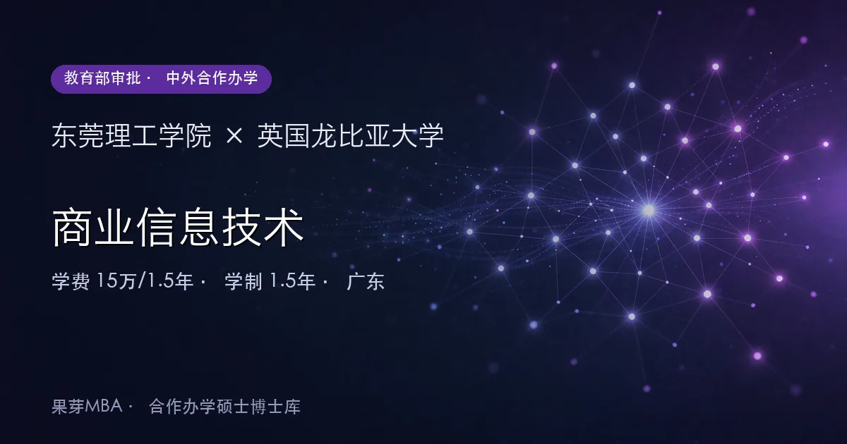 东莞理工学院×英国龙比亚大学 商业信息技术项目头图