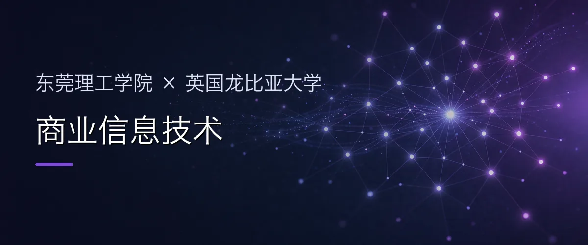 东莞理工学院×英国龙比亚大学 商业信息技术项目头图