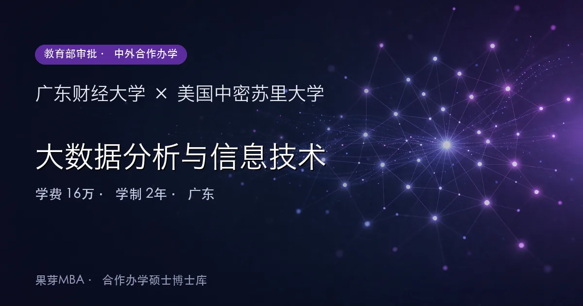广东财经大学×美国中密苏里大学 大数据分析与信息技术项目头图