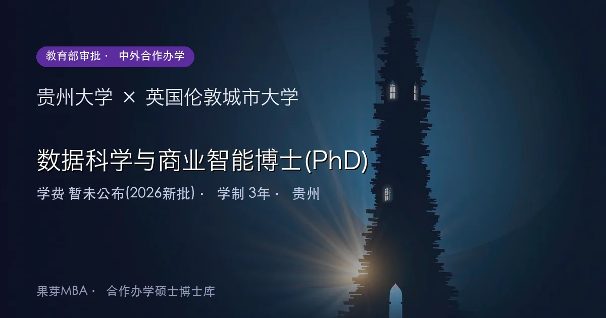 贵州大学×英国伦敦城市大学 数据科学与商业智能博士(PhD)项目头图