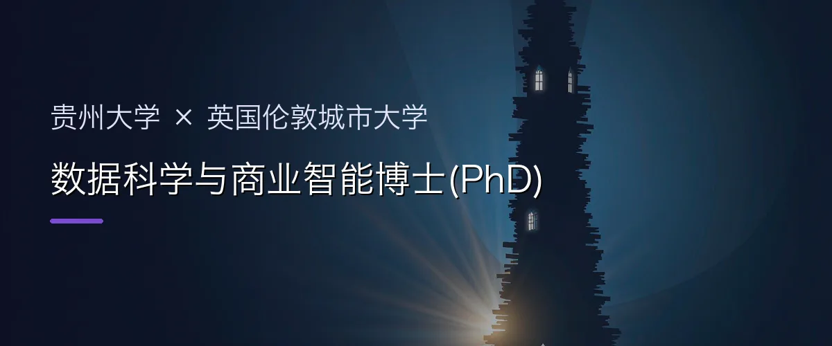 贵州大学×英国伦敦城市大学 数据科学与商业智能博士(PhD)项目头图
