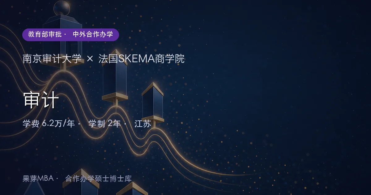 南京审计大学×法国SKEMA商学院 审计项目头图
