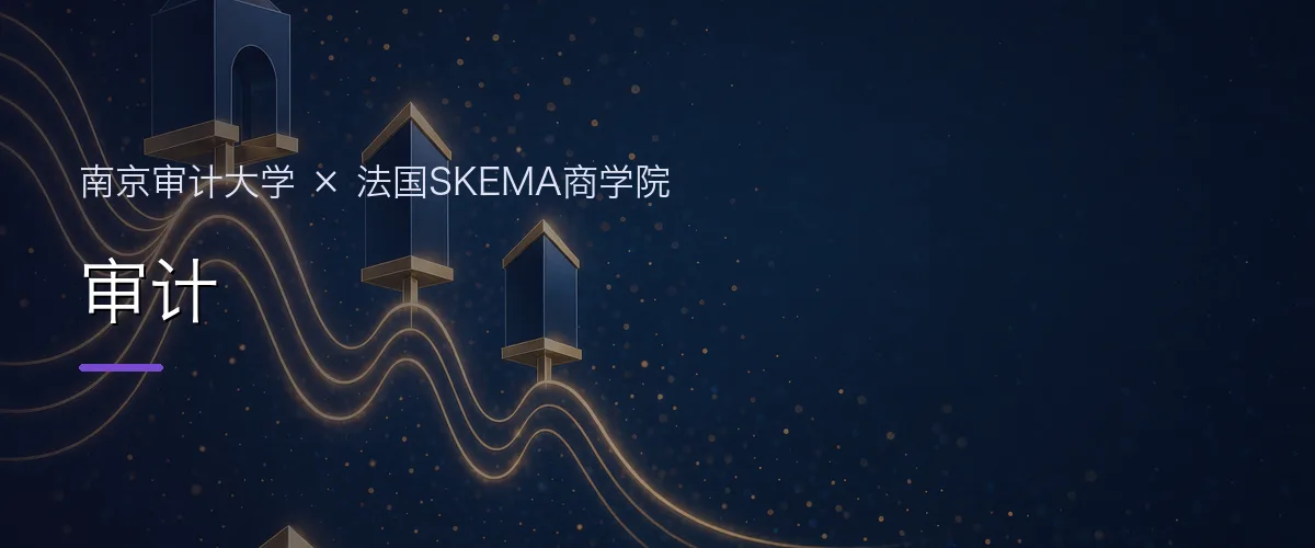 南京审计大学×法国SKEMA商学院 审计项目头图