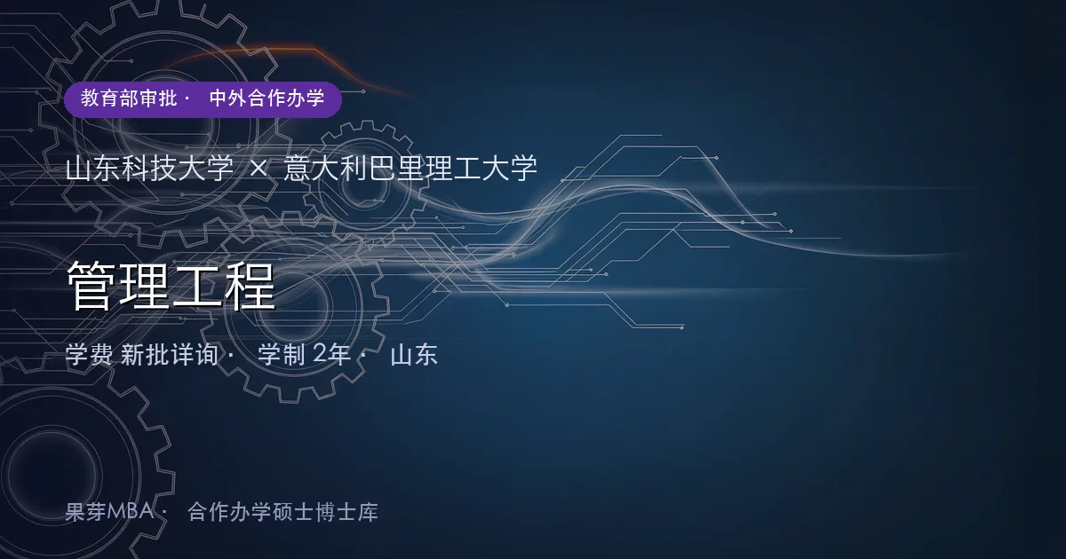 山东科技大学×意大利巴里理工大学 管理工程项目头图