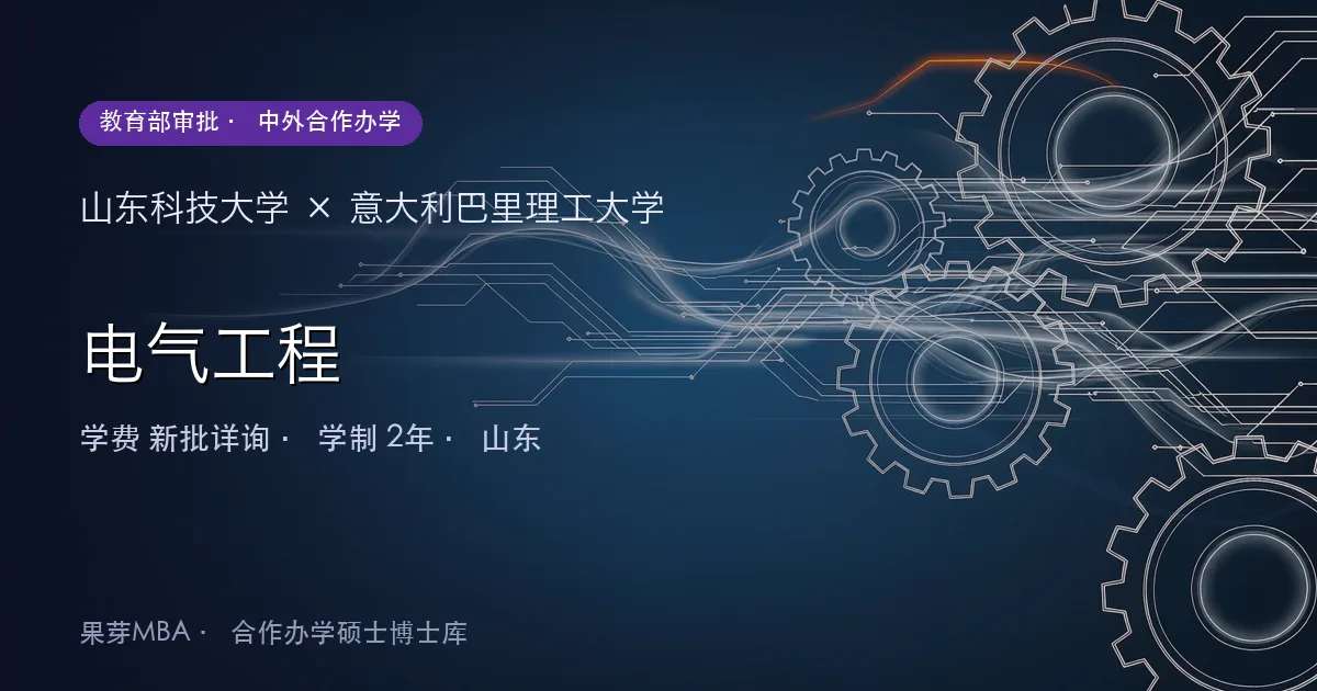 山东科技大学×意大利巴里理工大学 电气工程项目头图