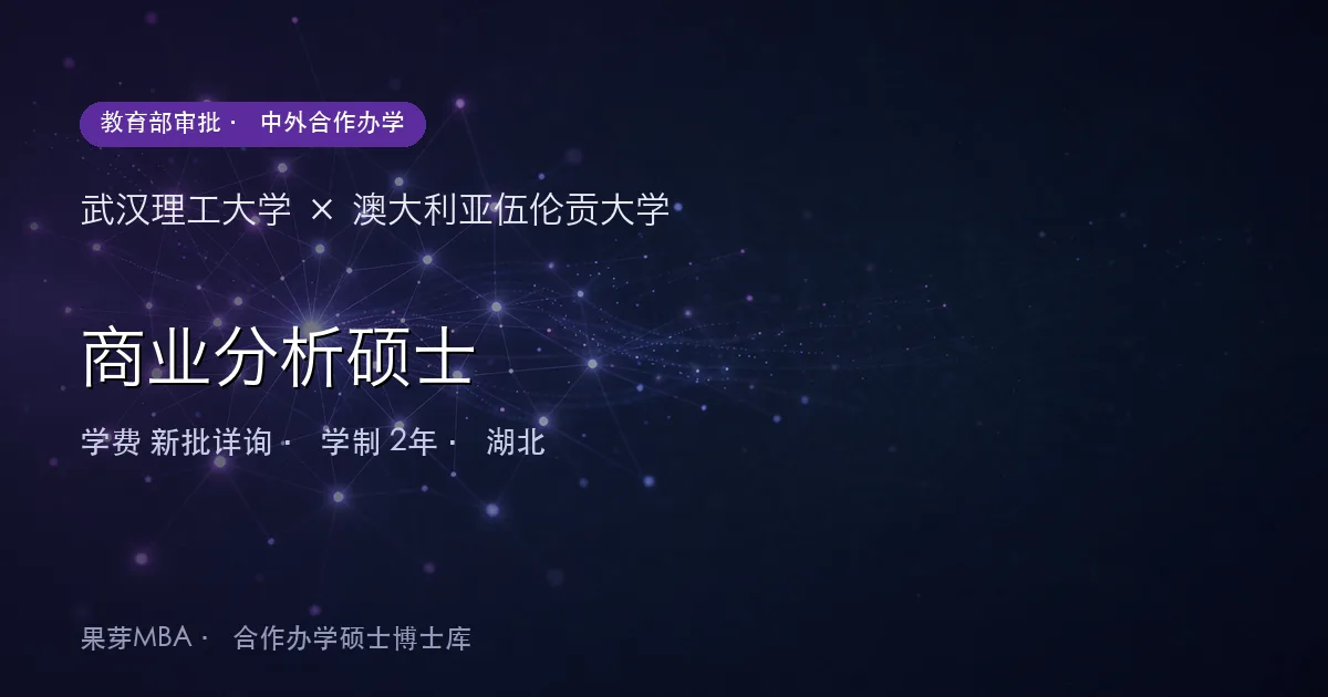 武汉理工大学×澳大利亚伍伦贡大学 商业分析硕士项目头图