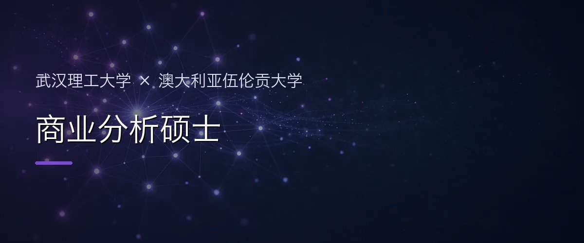 武汉理工大学×澳大利亚伍伦贡大学 商业分析硕士项目头图