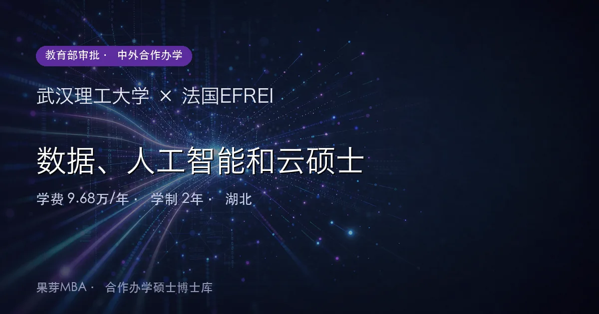 武汉理工大学×法国EFREI 数据、人工智能和云硕士项目头图