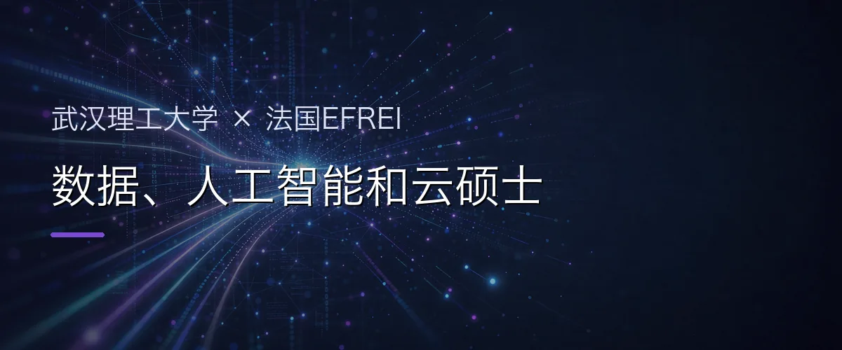 武汉理工大学×法国EFREI 数据、人工智能和云硕士项目头图