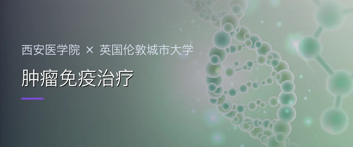 西安医学院×英国伦敦城市大学 肿瘤免疫治疗项目头图