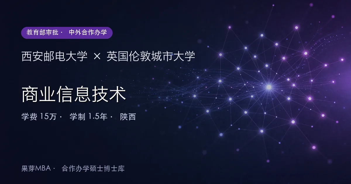 西安邮电大学×英国伦敦城市大学 商业信息技术项目头图